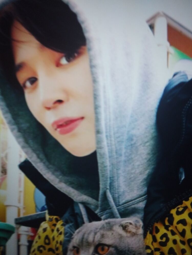 ���� 35479004 ������� Jimini, 30 ���, ���� ���������� � Ch'ongju