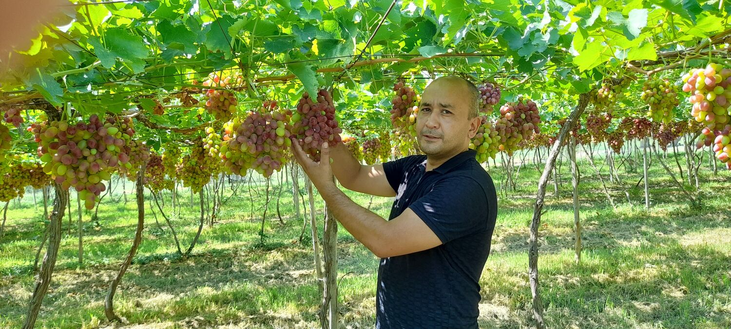 ���� 36348124 ������� �����, 44 ����, ���� ���������� � ������