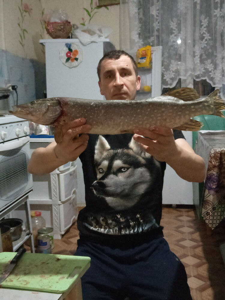 ���� 25350664 ������� ���������, 39 ���, ���� ���������� � ������������