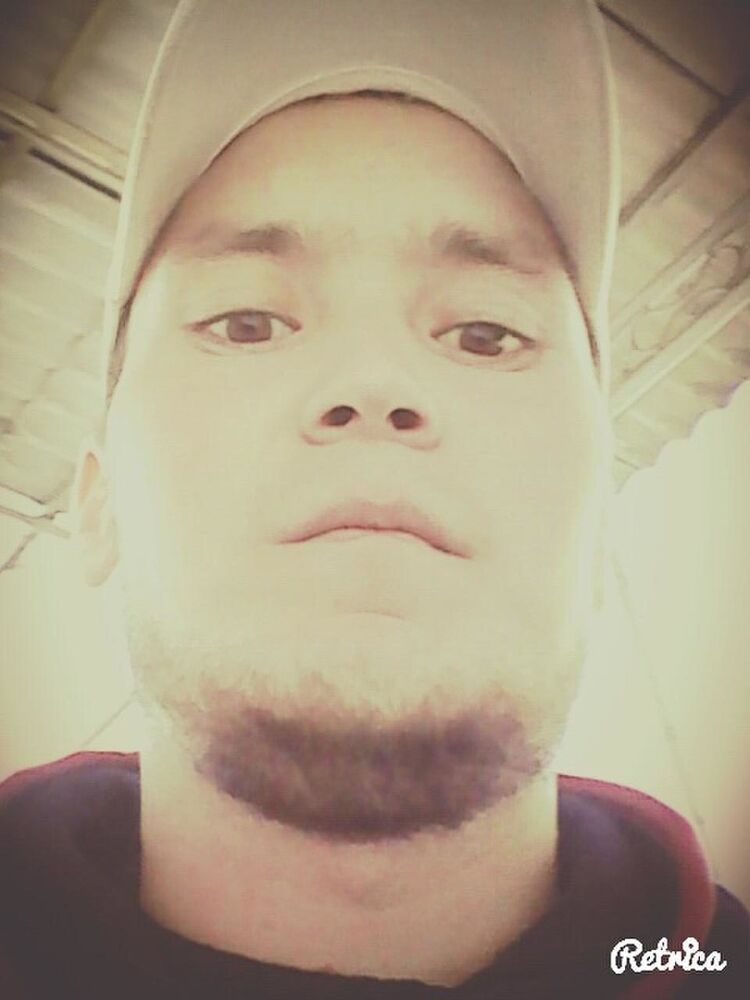  ,   ZoLoToy, 32 ,   