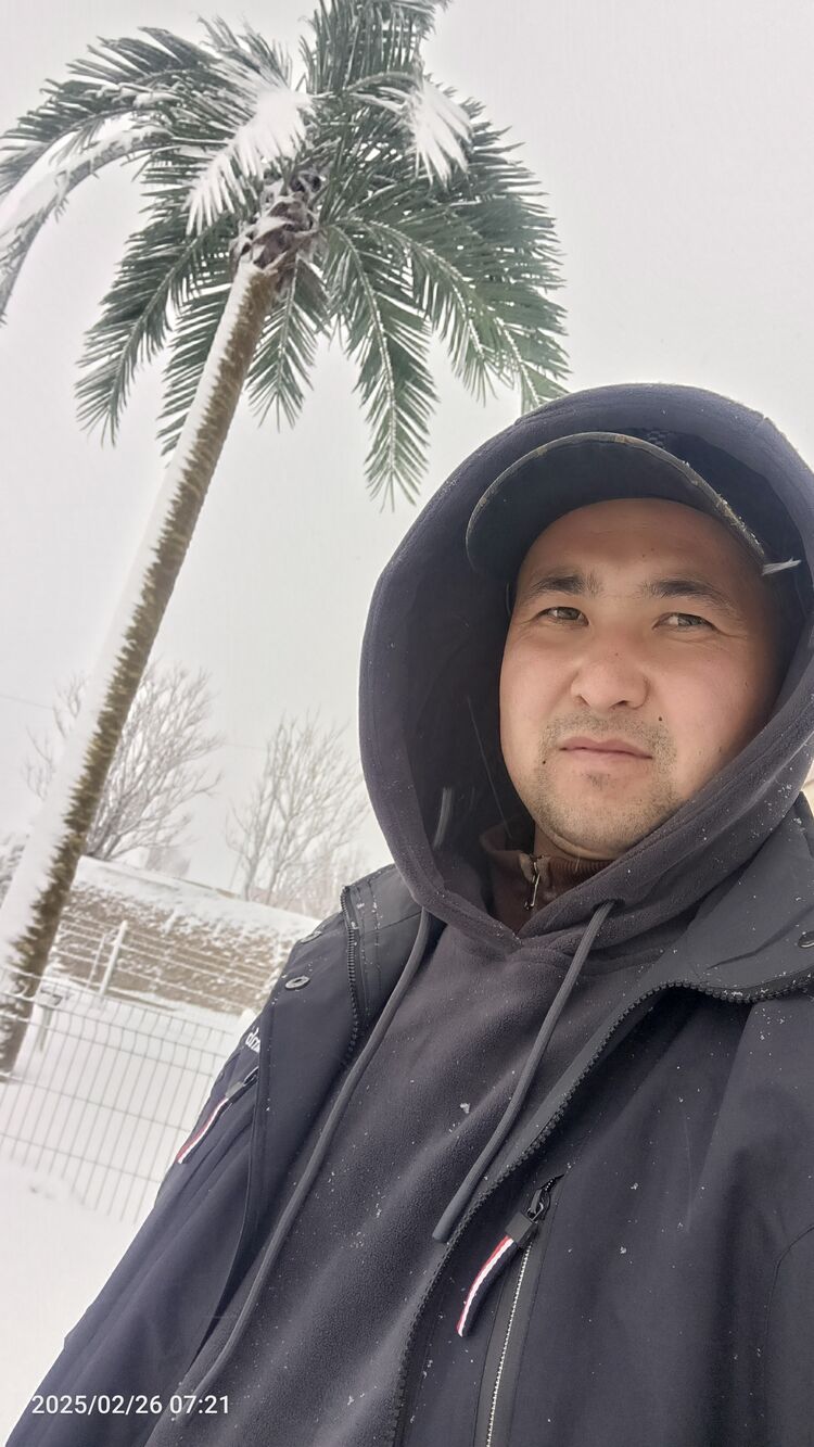 ���������� �����-���������, ���� ������� �����, 31 ���, ������������ ��� ������, ����� � ���������, c�������� ���������, ���������