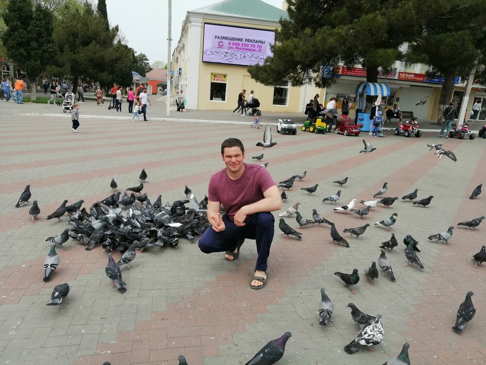 ���� 16029554 ������� �������, 42 ����, ���� ���������� � �������