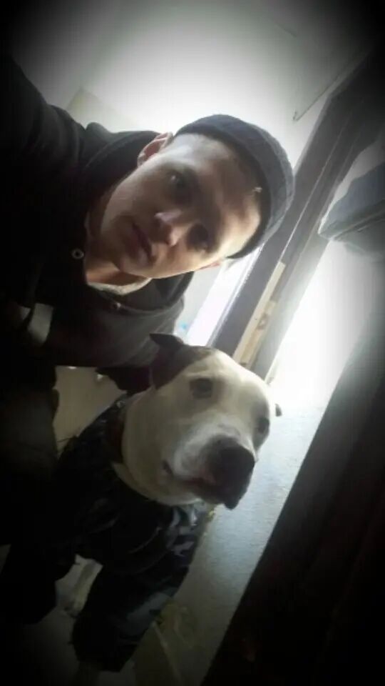 ���� 43697304 ������� ������ King, 33 ����, ���� ���������� � ������