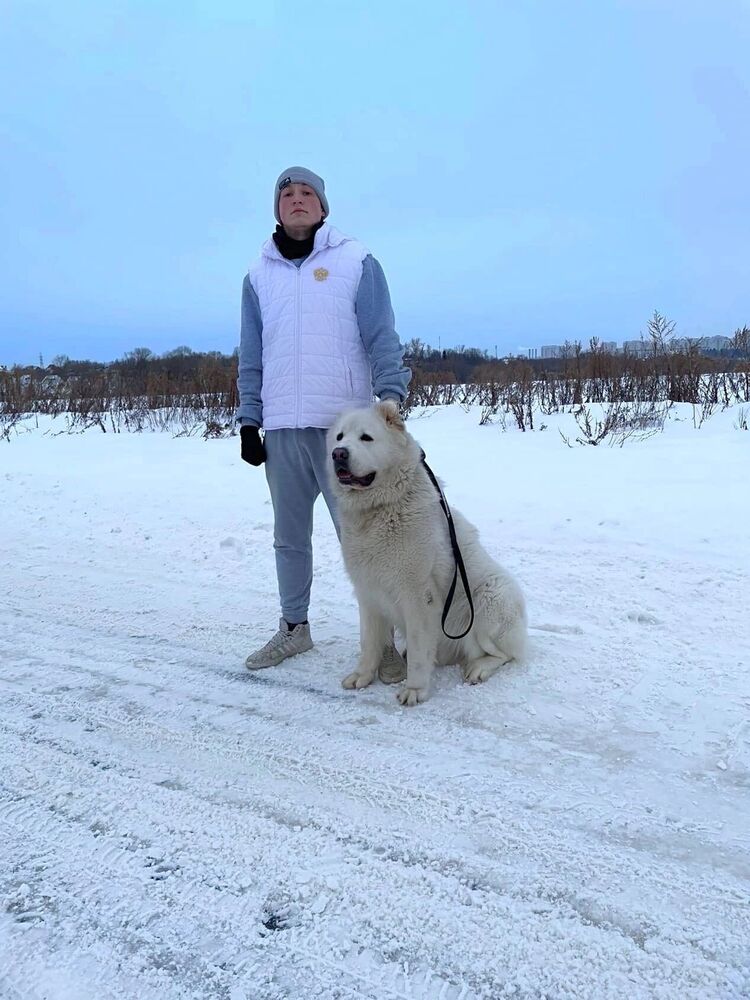 ���������� �����-���������, ���� ������� ���������, 26 ���, ������������ ��� ������, ����� � ���������