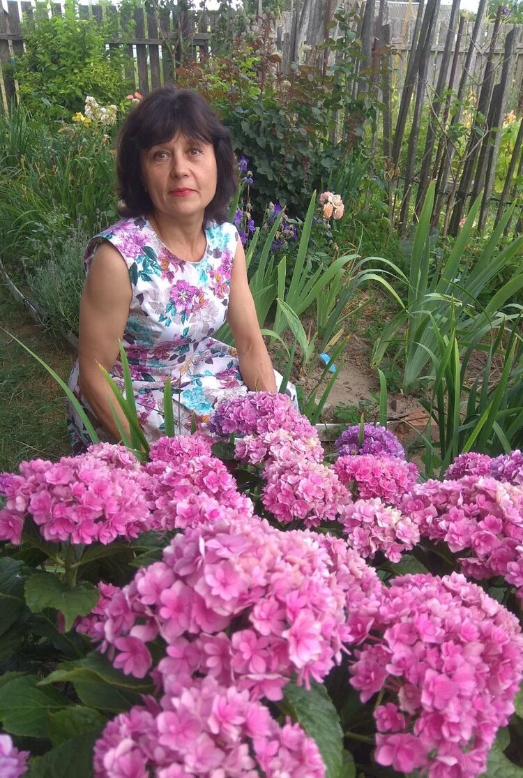  ,   , 58 ,   ,   , c , 