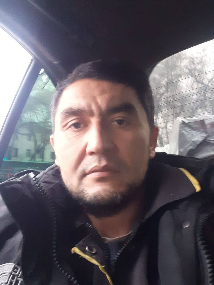 ���� 56005174 ������� �����, 43 ����, ���� ���������� � ���������