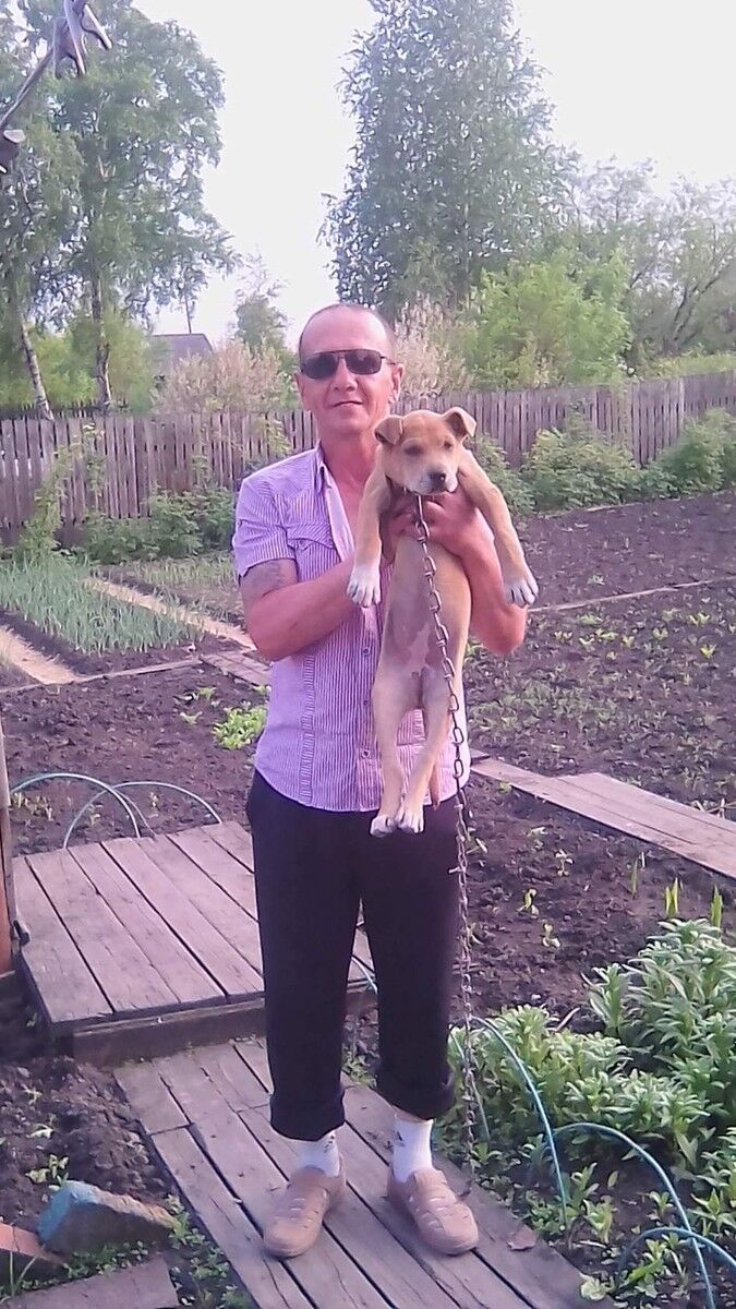 ���� 16701414 ������� ����, 51 ���, ���� ���������� � �����