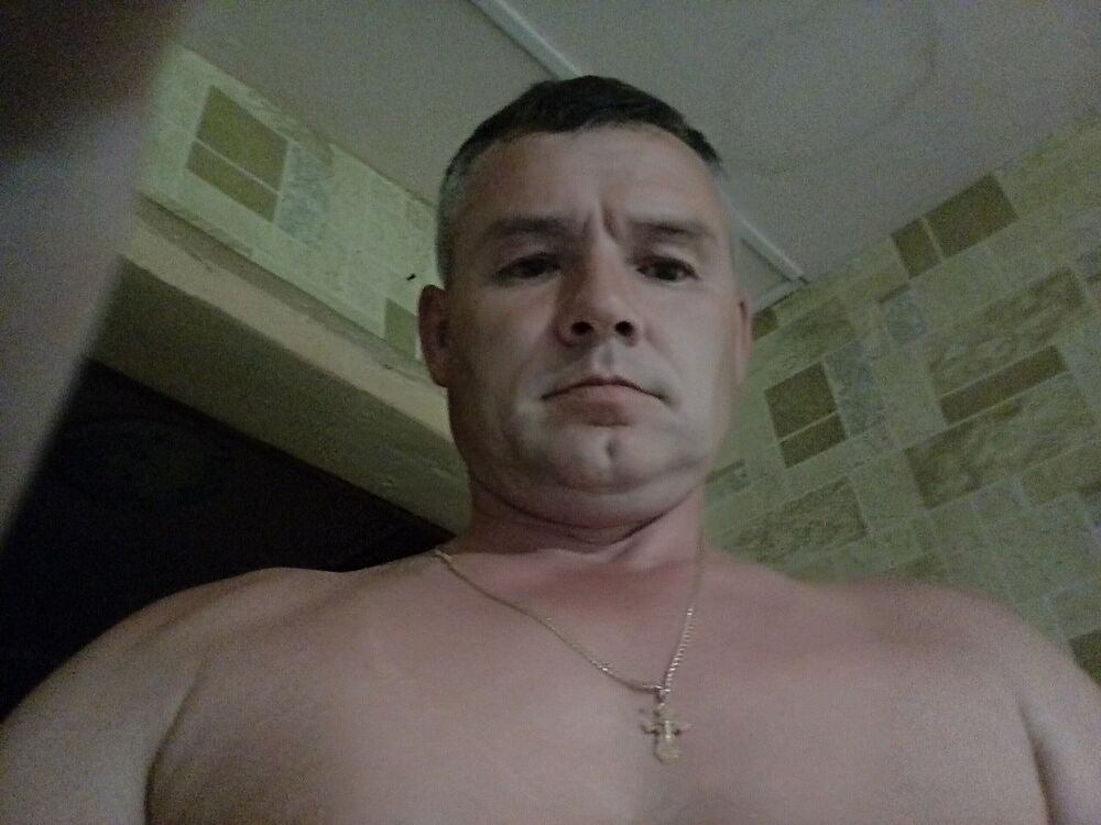  7666604  , 50 ,    