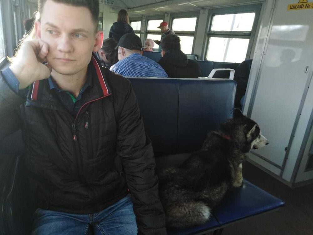 ���� 19136094 ������� ������, 36 ���, ���� ���������� � �������