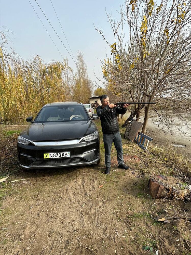 ���������� �������, ���� ������� ����������, 49 ���, ������������ ��� ������, ����� � ���������, ���������