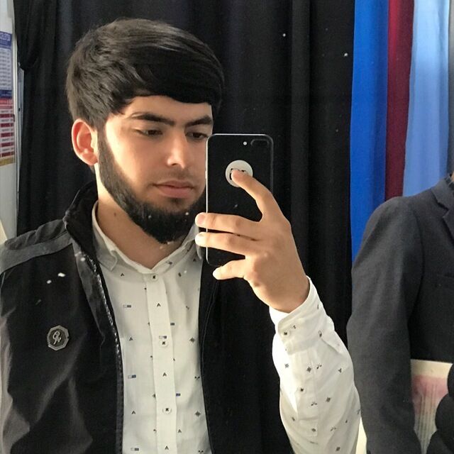  43246064  , 24 ,    -