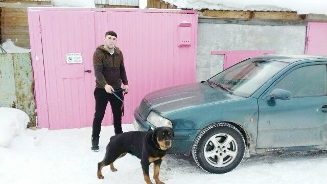 ���� 12025884 ������� VLAD, 29 ���, ���� ���������� � ��������