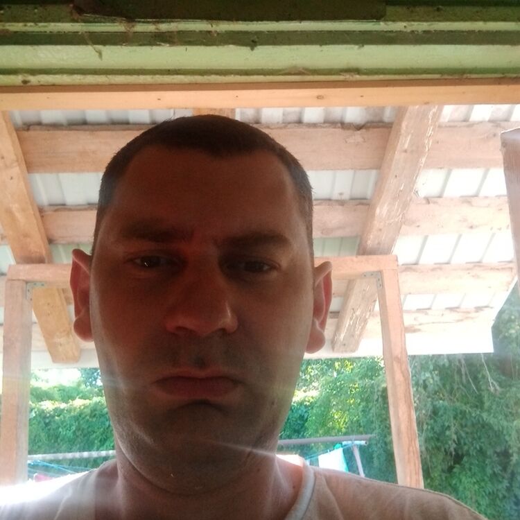  37179694  , 36 ,    -