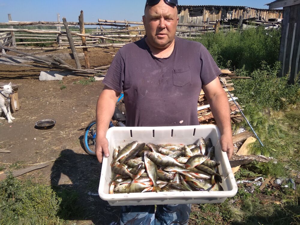 ���� 25790944 ������� �������, 49 ���, ���� ���������� � �����