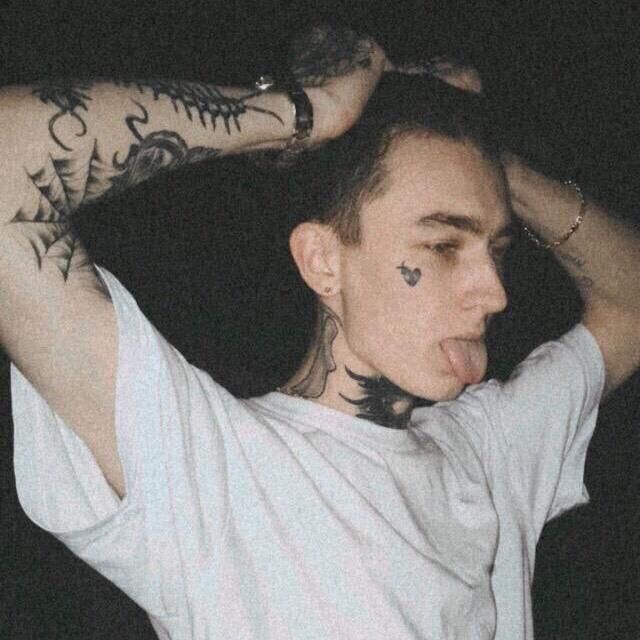 ���� 41855694 ����� �����, 24 ����, ���� ���������� � ������