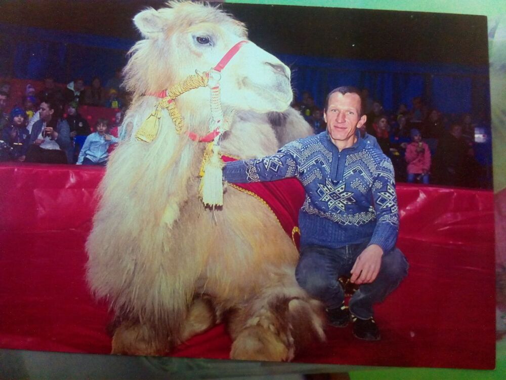 ���� 55920284 ������� ����, 43 ����, ���� ���������� � �������������