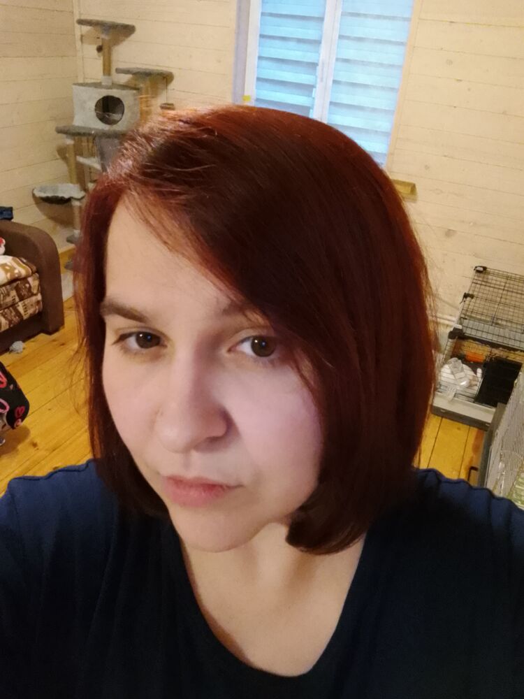  52206484  , 36 ,    -