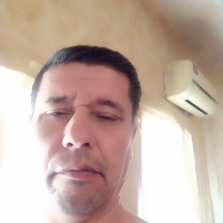  37871904  , 48 ,    