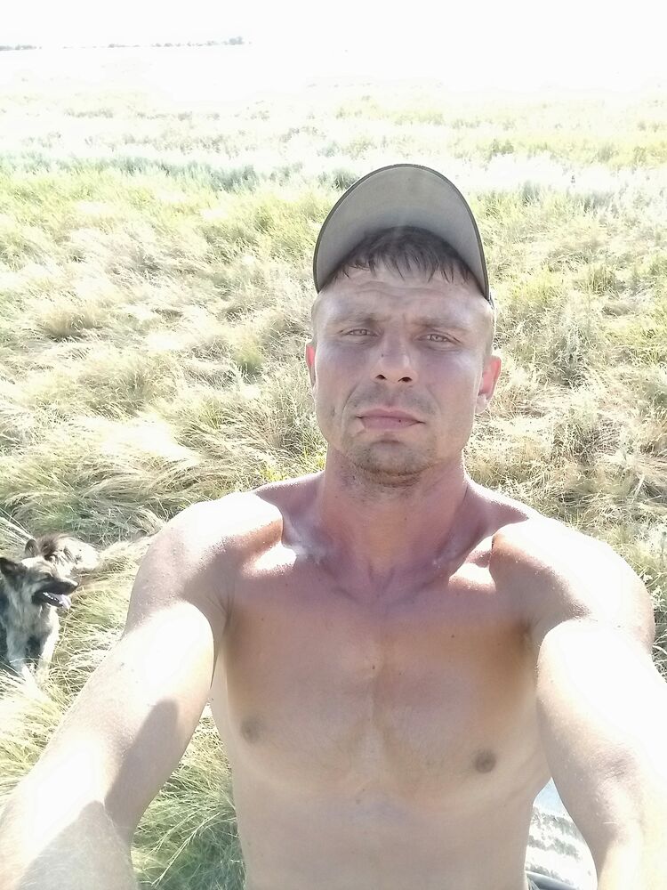  27864784  , 36 ,    