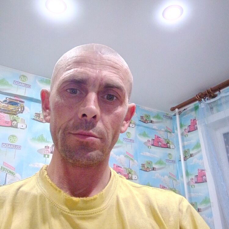  34310564  , 40 ,    