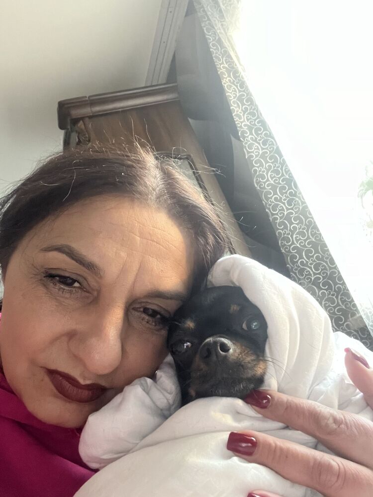 ���������� ������, ���� ������� ��������, 49 ���, ������������ ��� c�������� ���������