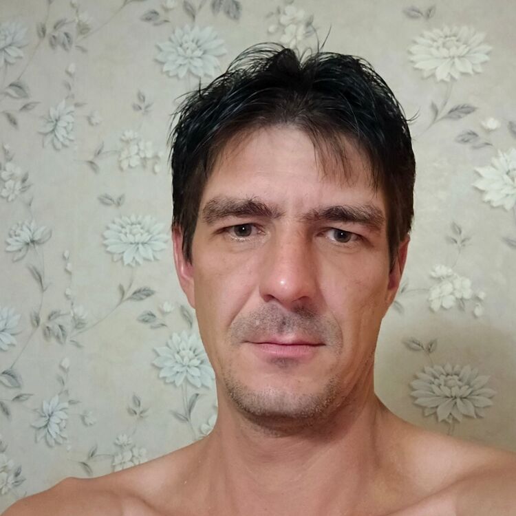  52916994  , 42 ,    