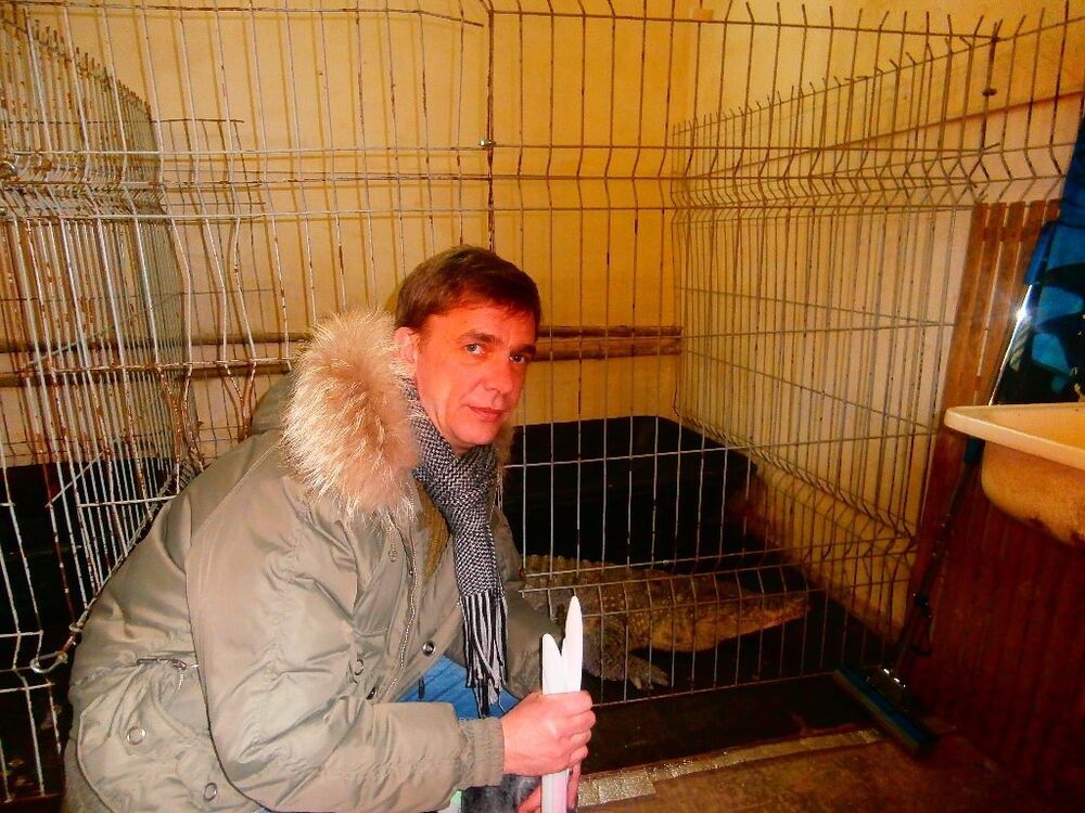 ���� 9842694 ������� �������, 56 ���, ���� ���������� � ����������