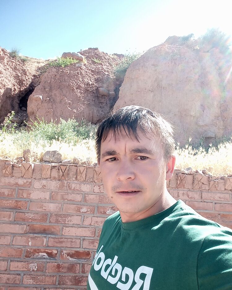  32036144  , 34 ,    