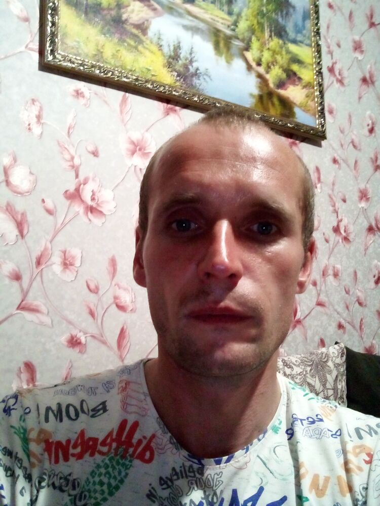  28538074  , 38 ,    