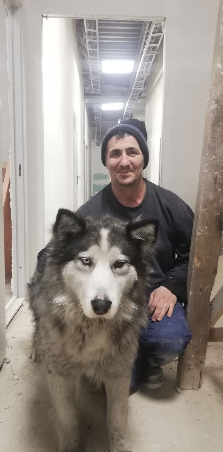 ���� 26264394 ������� �����, 51 ���, ���� ���������� � �������-��-����