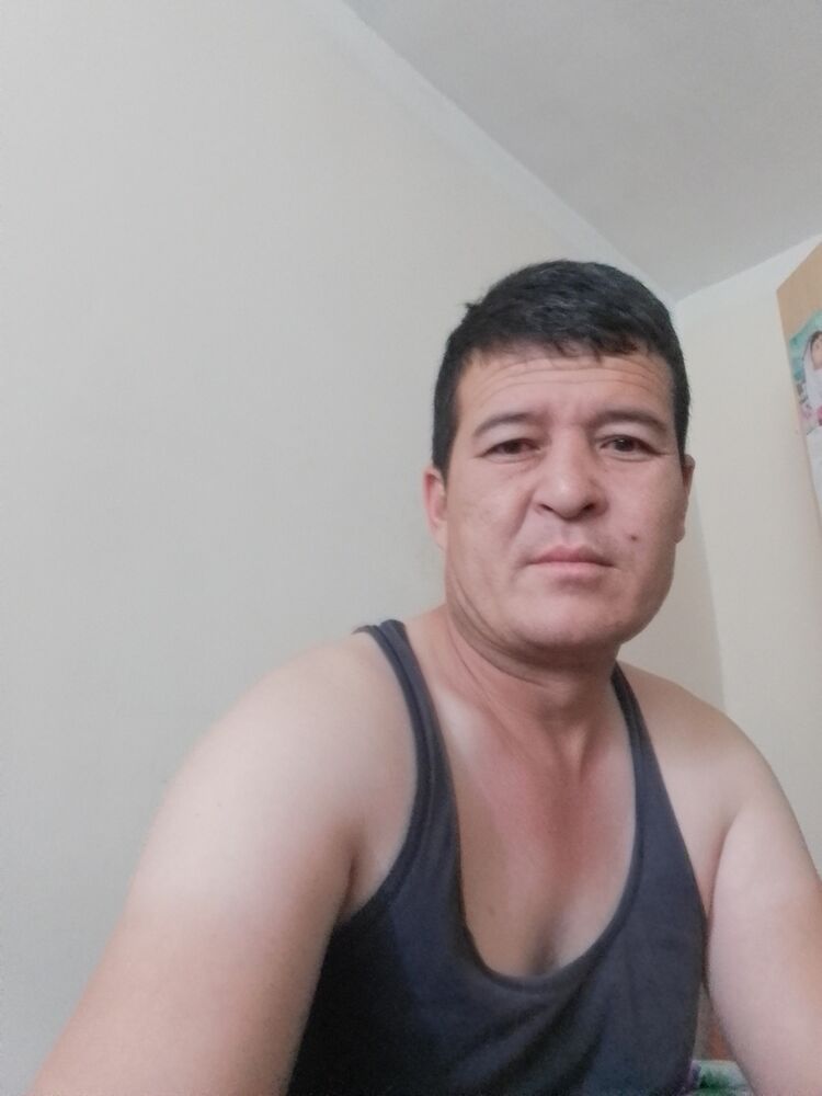  41416024  , 38 ,    