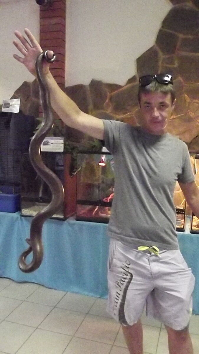  ,   , 37 ,     , c 