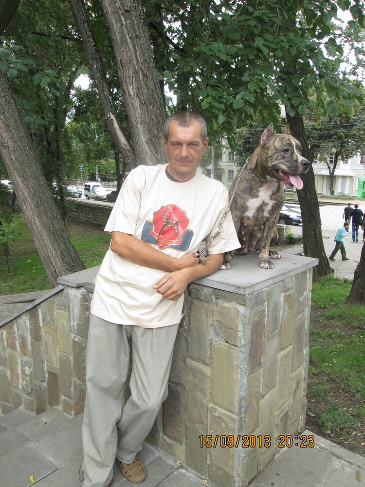  ,   , 54 ,   ,   , c 