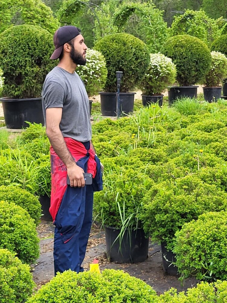 ���������� ������, ���� ������� Borodaj, 29 ���, ������������ ��� c�������� ���������