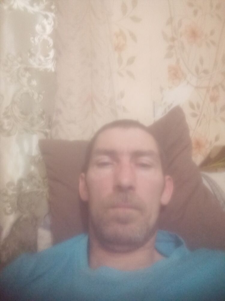  41913084  , 40 ,    