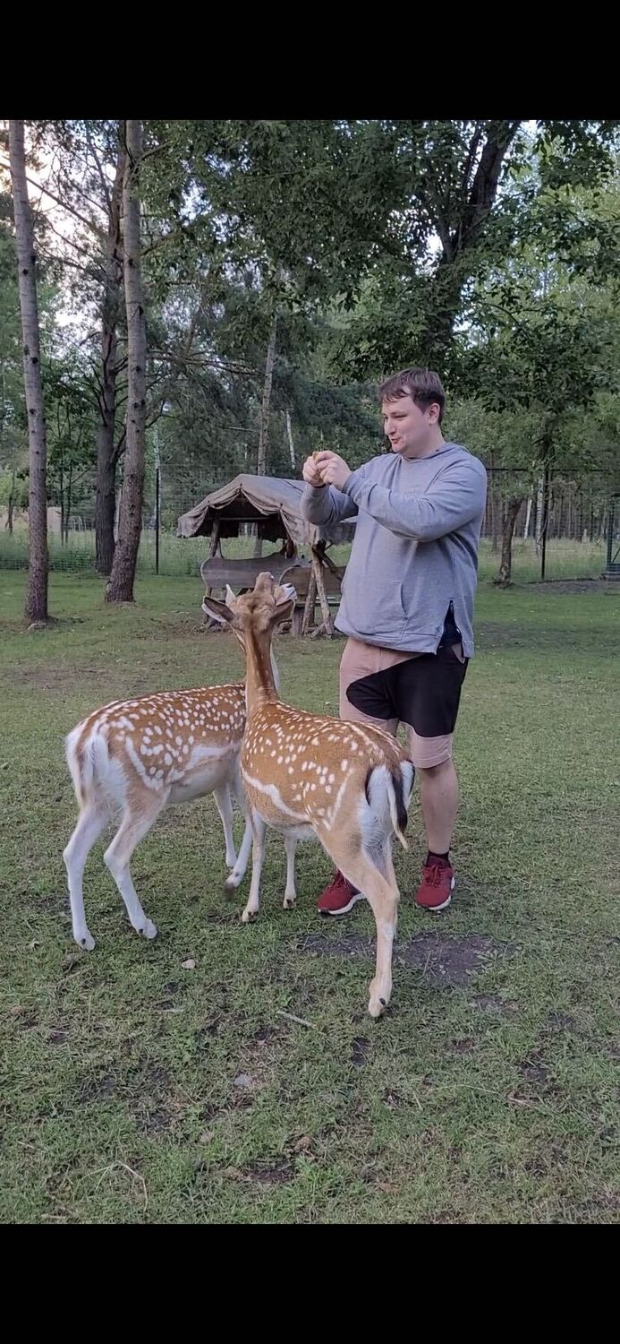 ���������� �����, ���� ������� ������, 32 ����, ������������ ��� ������, ����� � ���������