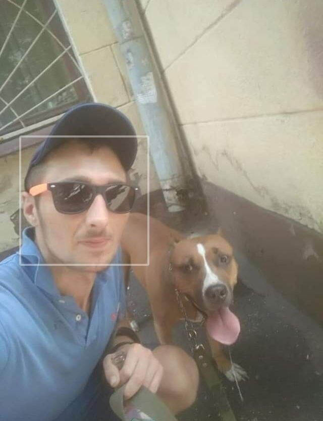 ���������� ���������, ���� ������� �����, 29 ���, ������������ ��� ������, ����� � ���������, c�������� ���������