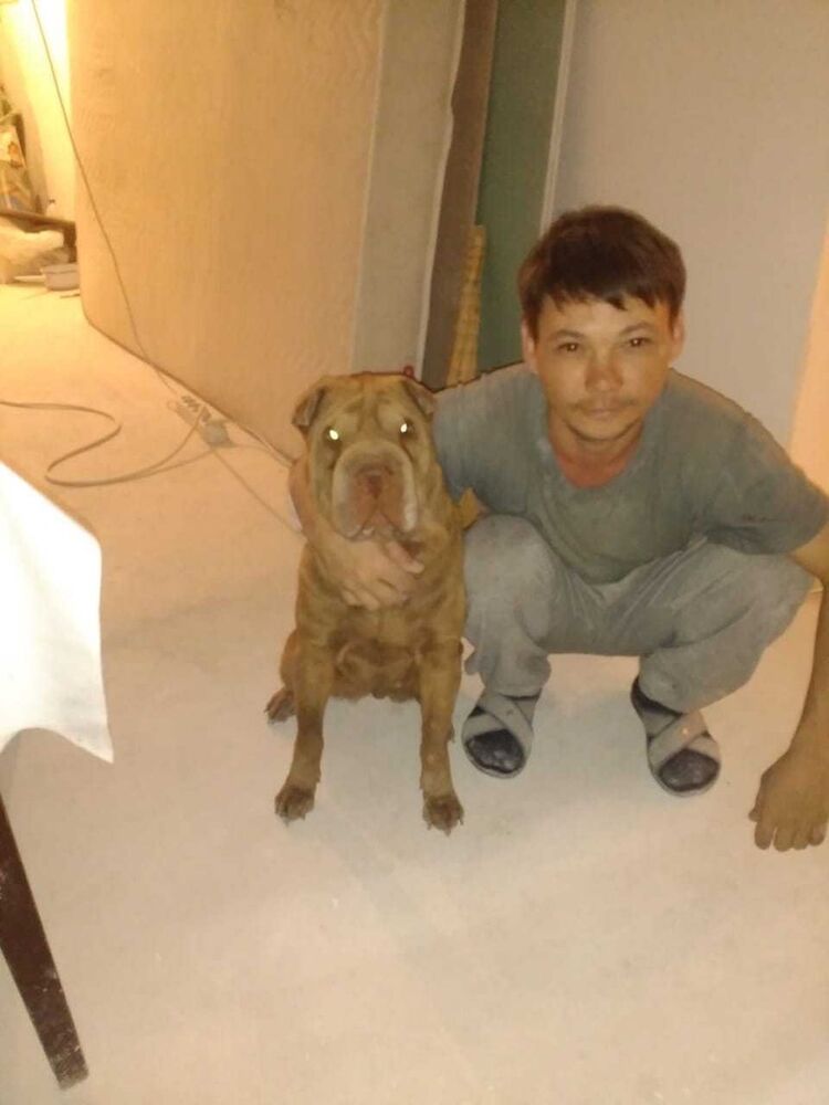 ���� 14909124 ������� ������, 43 ����, ���� ���������� � ������