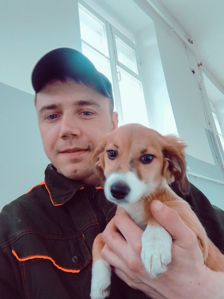 ���������� ����, ���� ������� Artemka, 34 ����, ������������ ��� ������, ����� � ���������, c�������� ���������, ���������