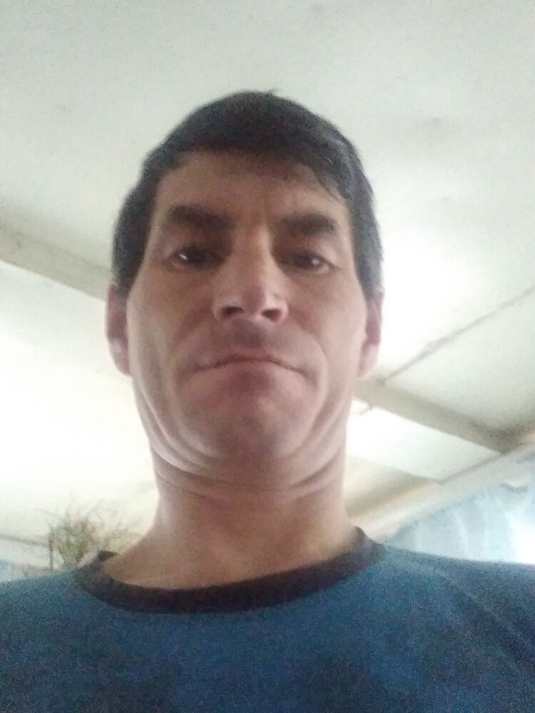  24908474  , 46 ,    