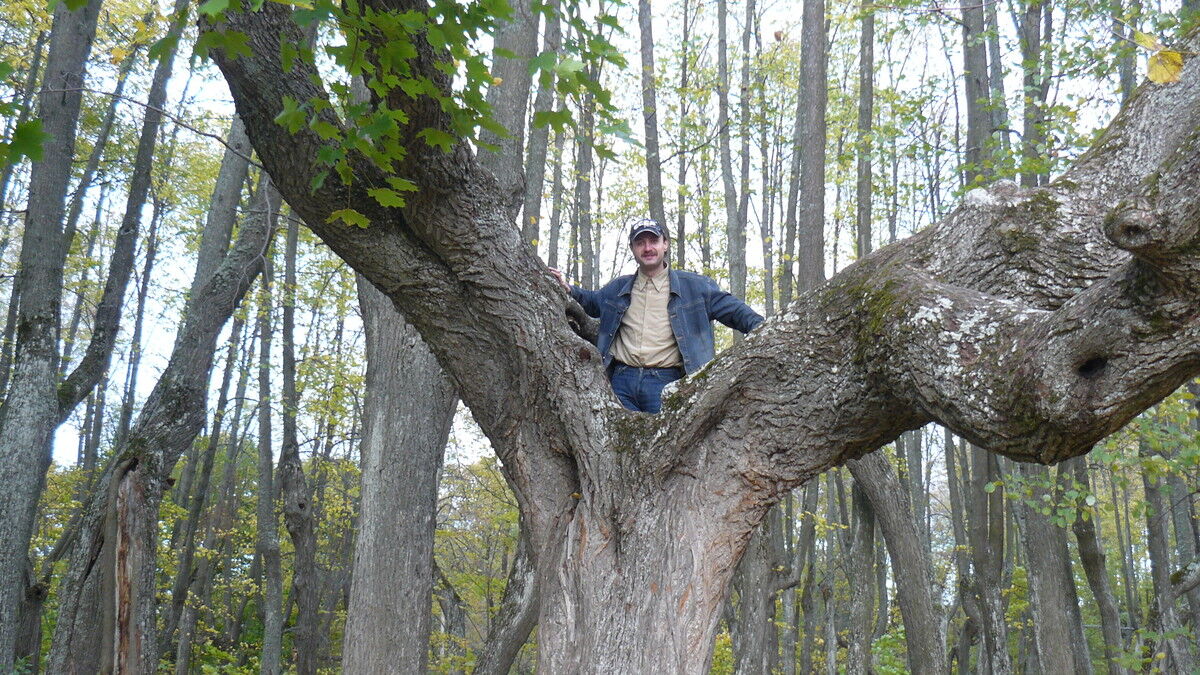 ���������� ������, ���� ������� Andey, 48 ���, ������������ ��� ����� � ���������, c�������� ���������