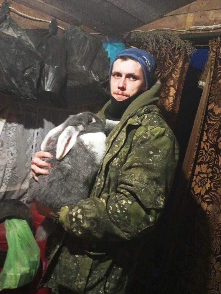 ���� 43649514 ������� ����, 31 ���, ���� ���������� � ������