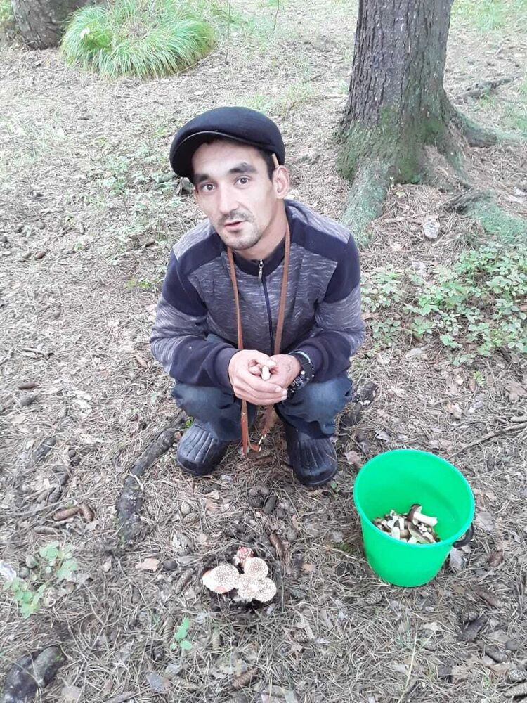 ���� 25481954 ������� �������, 33 ����, ���� ���������� � �������������