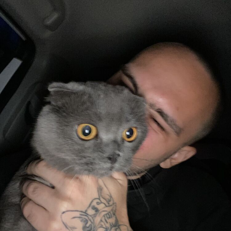 ���������� ������������, ���� ������� ������, 26 ���, ������������ ��� ������, ����� � ���������