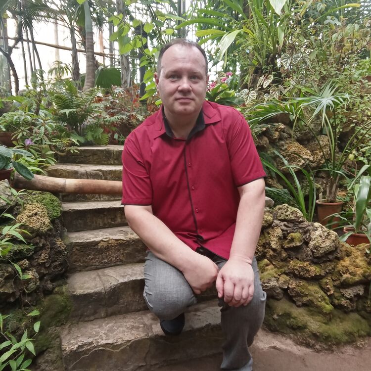 ���� 46706854 ������� ����, 50 ���, ���� ���������� � �����-����������