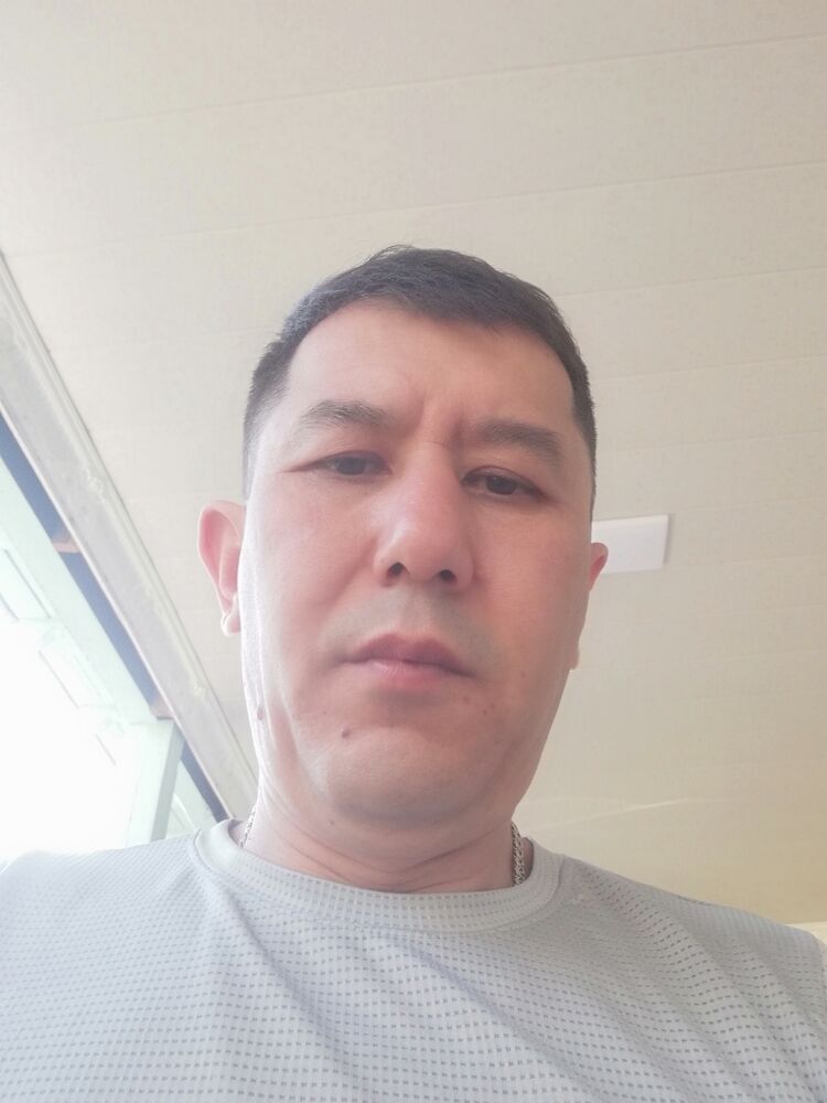  46024884  , 41 ,    