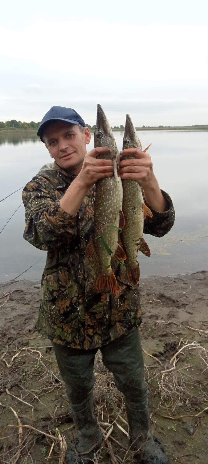 ���������� ����������, ���� ������� ���������, 45 ���, ������������ ��� ������, ����� � ���������, c�������� ���������