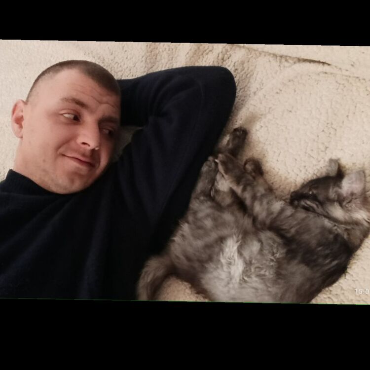 ���� 55262834 ������� ���� �������, 30 ���, ���� ���������� � ���������