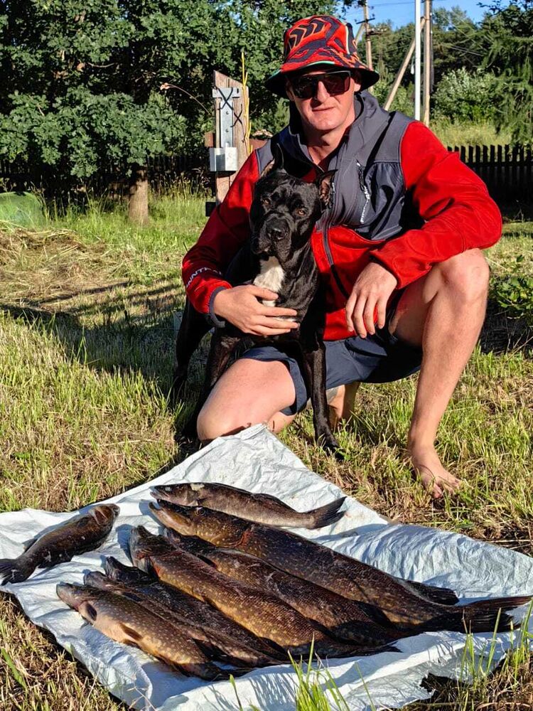 ���������� �����-���������, ���� ������� ���������, 34 ����, ������������ ��� c�������� ���������