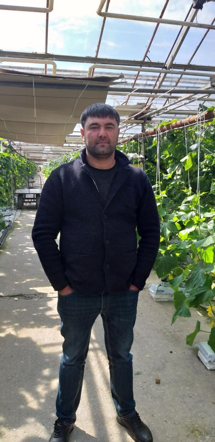 ���������� �������, ���� ������� �����, 34 ����, ������������ ��� ������, ����� � ���������